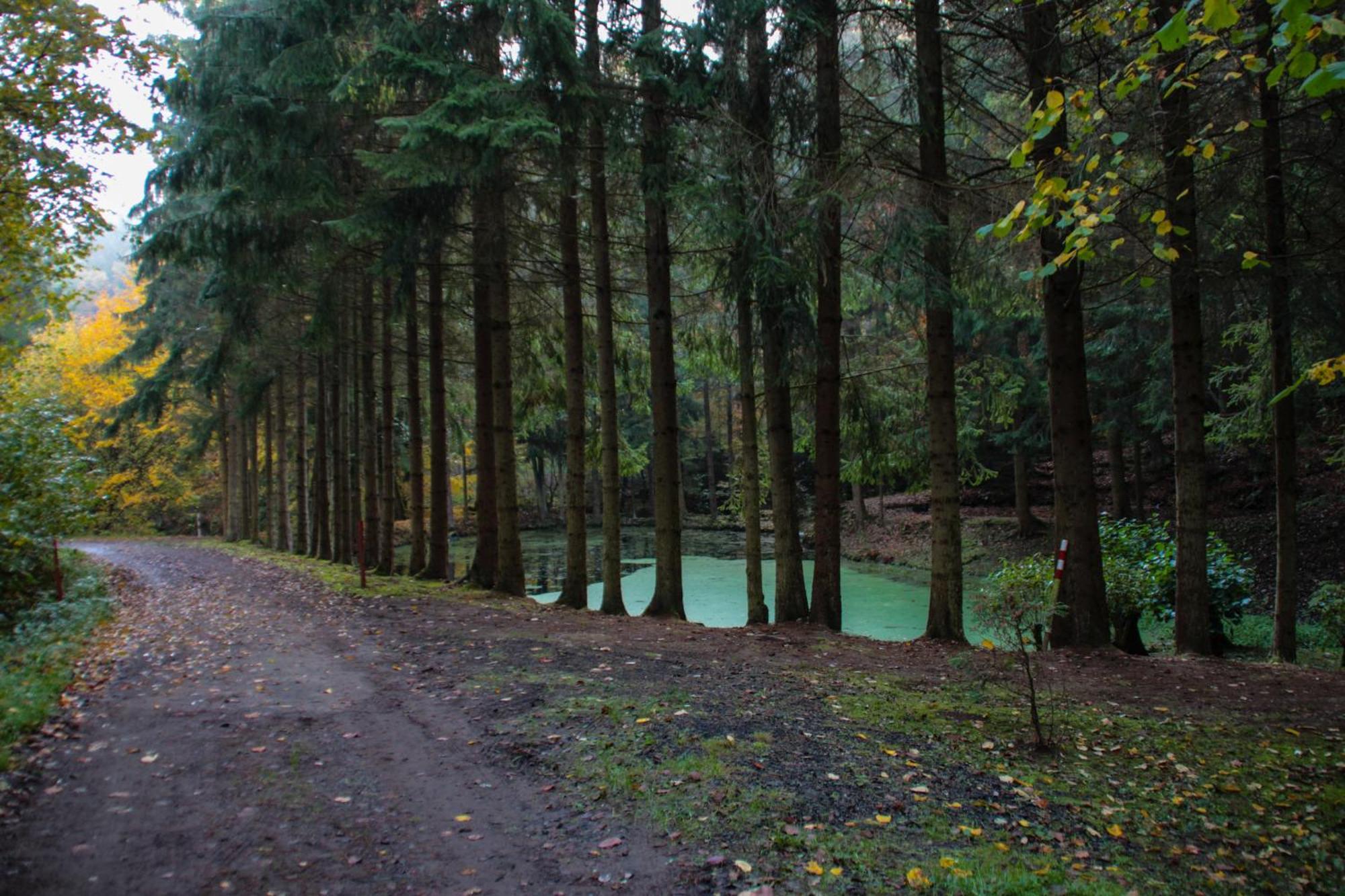 Fh "Baeren Ecke" Am See Im Hessischen Bergland Kirchheim  Ngoại thất bức ảnh